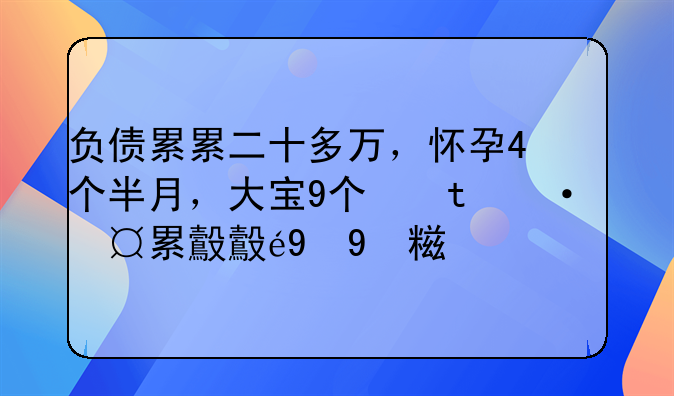 负债累累二十多万，怀孕4个半月，大宝9个月，老公没法还，该不该离婚把两孩子都舍下去工作先还贷？