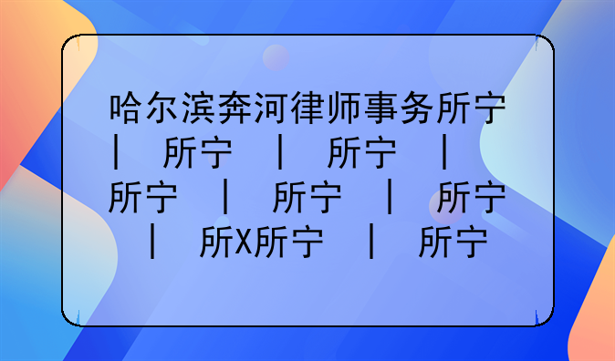 哈尔滨奔河律师事务所宋岩律师怎么样