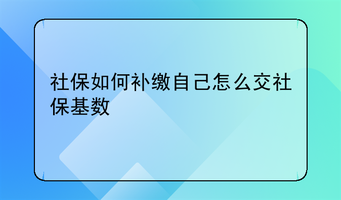 社保如何补缴自己怎么交社保基数