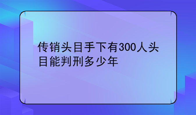 传销头目手下有300人头目能判刑多少年