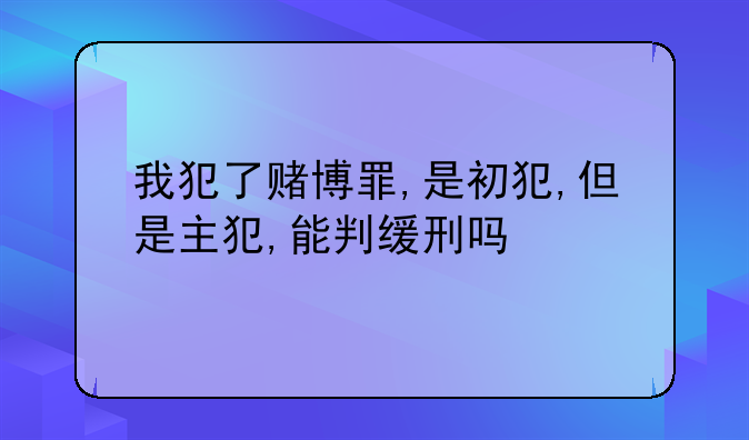 我犯了赌博罪,是初犯,但是主犯,能判缓刑吗